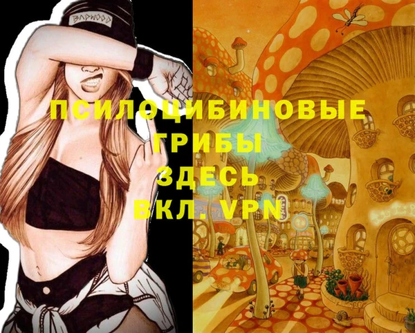 прущие крисы Лихославль