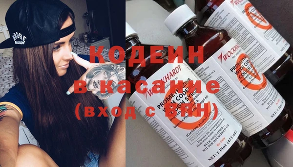 индика Липки