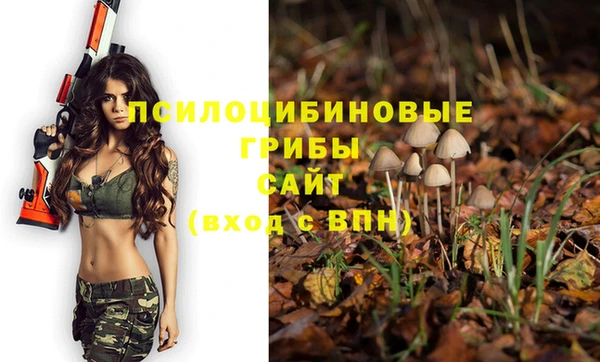 индика Липки