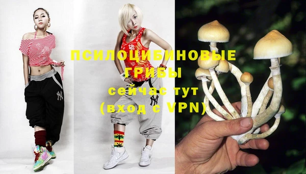 индика Липки