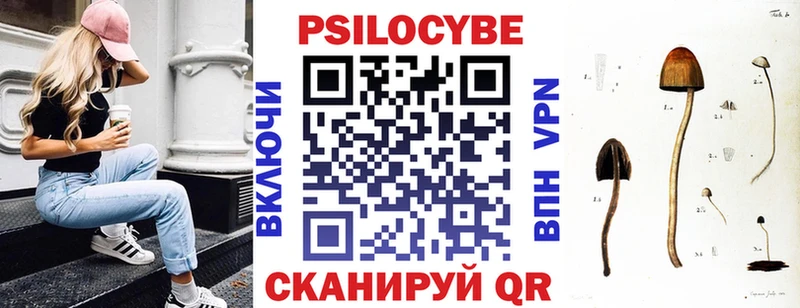 наркота  Чухлома  гидра маркетплейс  Псилоцибиновые грибы Magic Shrooms 