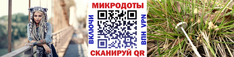 Псилоцибиновые грибы прущие грибы Чухлома